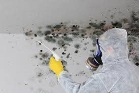 Best Asbestos and Lead Testing During Mold Inspection  in Queens, NY